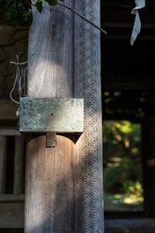 Close-up of a finely carved wooden music box resting on a warm autumn leaf, porcelain accents gleaming softly in natural light.
