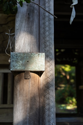 Close-up of a finely carved wooden music box resting on a warm autumn leaf, porcelain accents gleaming softly in natural light.