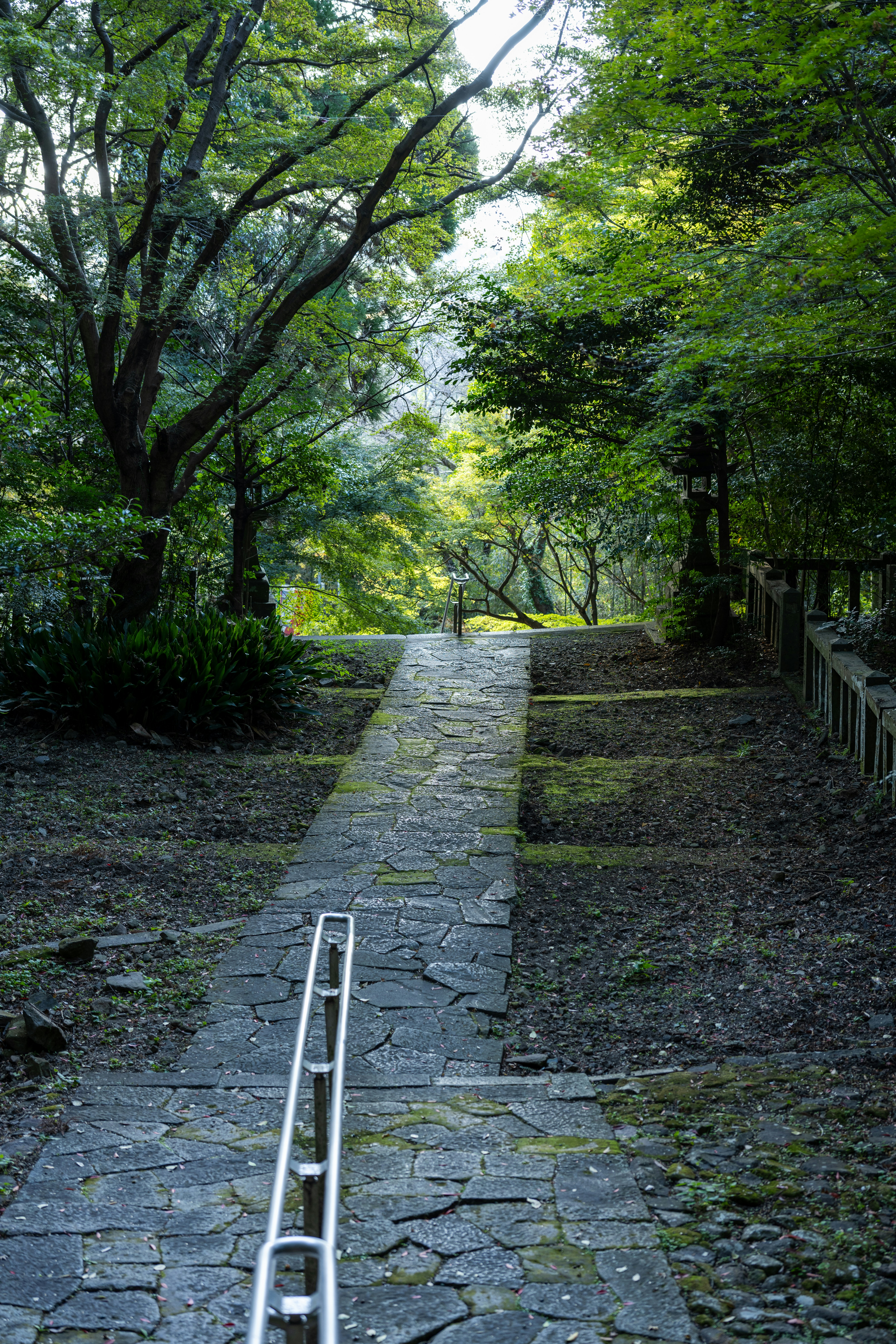 Photo by pafuxu