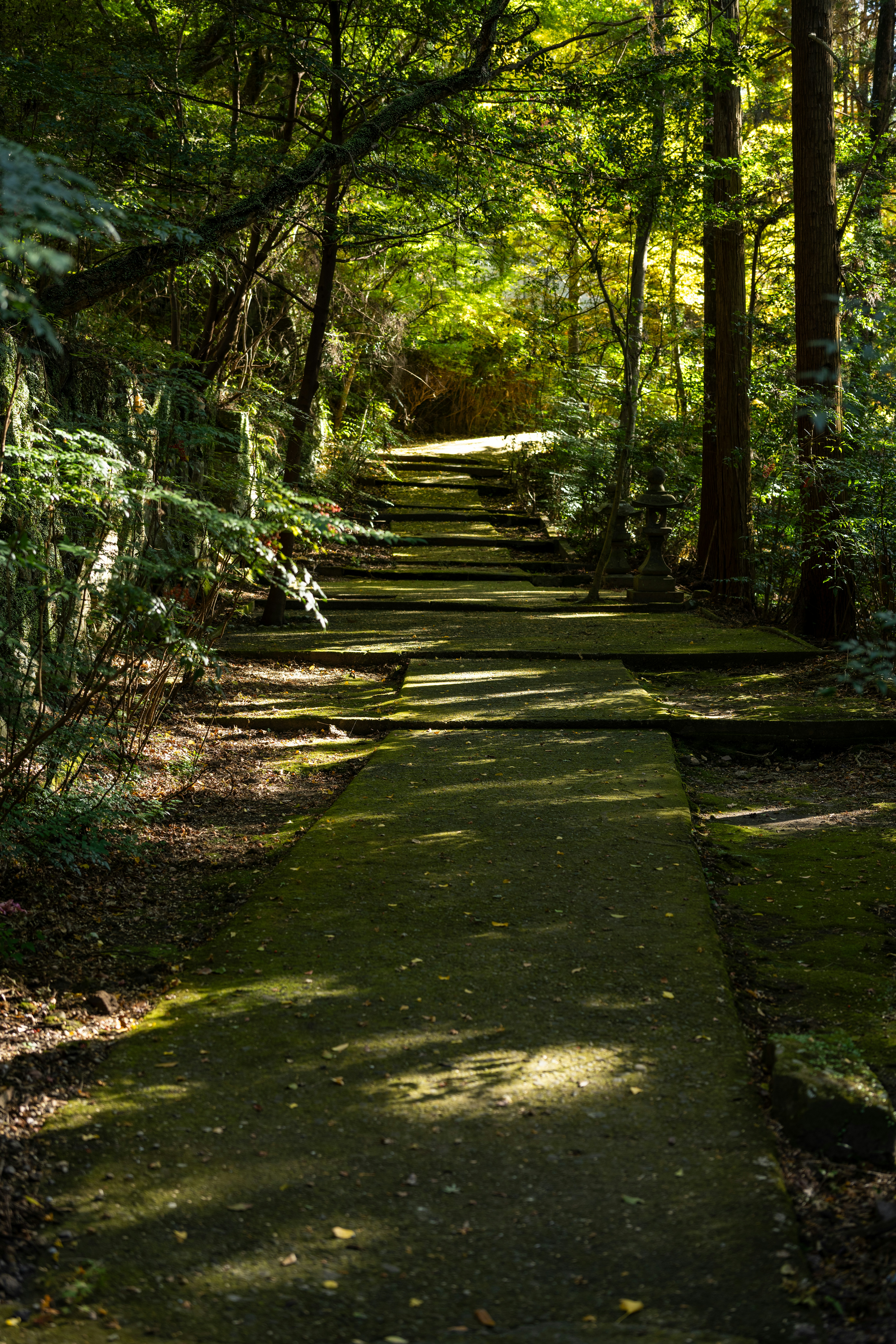 Schedule Your Session