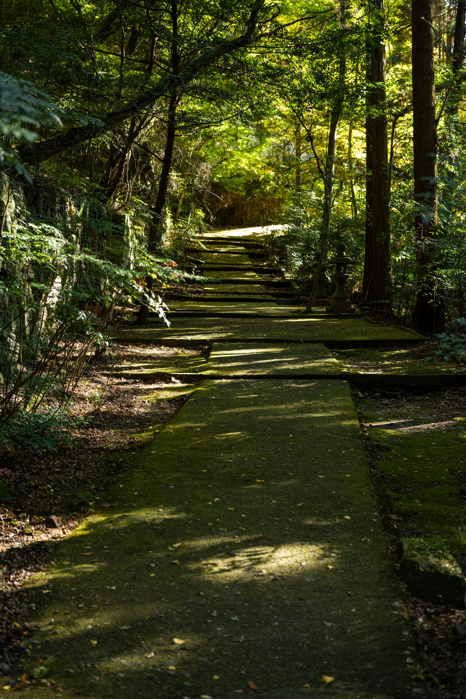 gray computer monitor