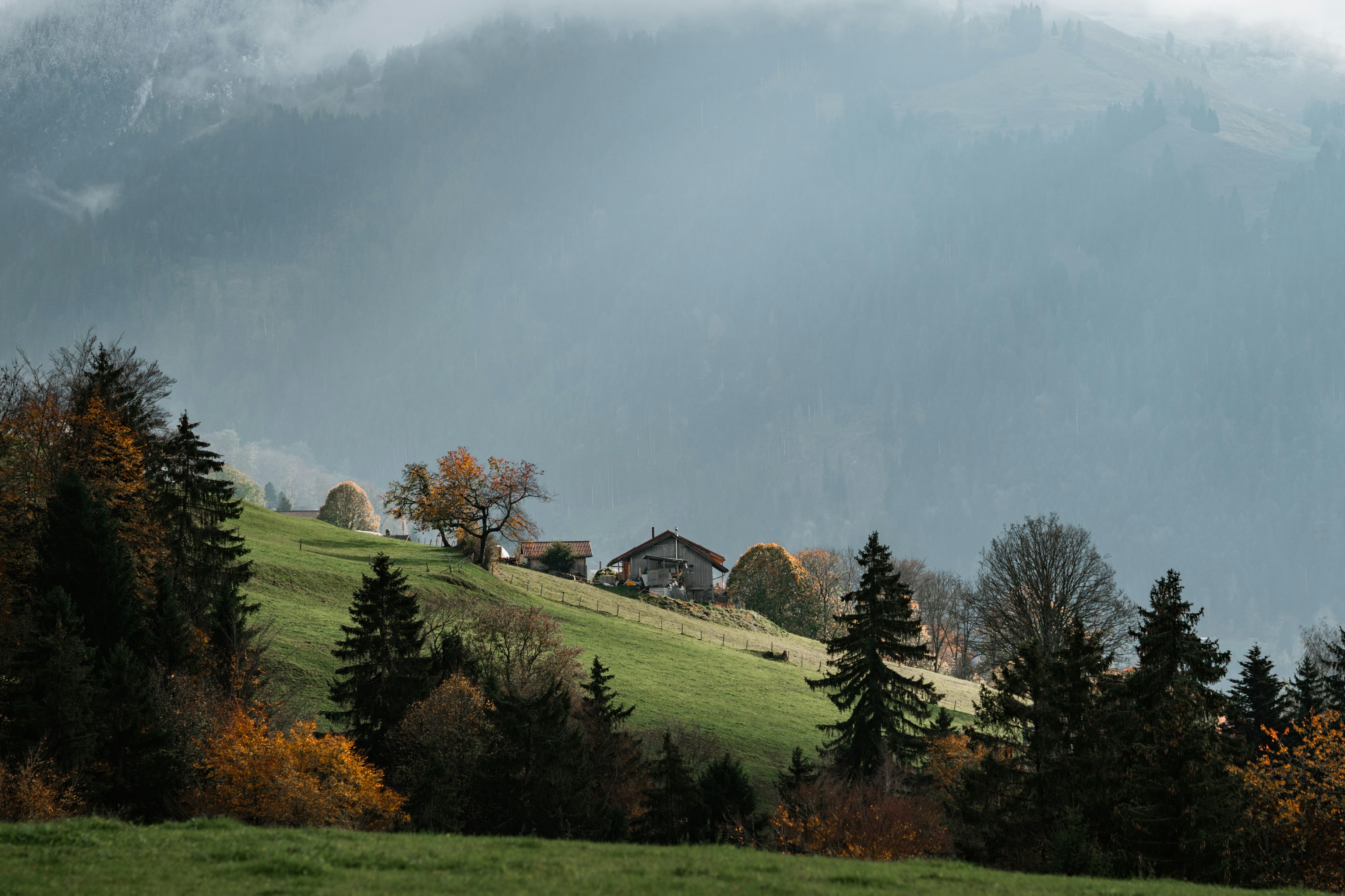 Photo by spensersembrat