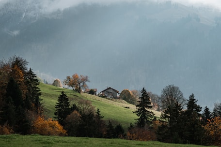 A house is situated on a lush green hillside surrounded by trees with autumn foliage. Misty mountains rise in the background, creating a serene and tranquil atmosphere. The landscape features a mix of evergreen and deciduous trees, and the grass appears vibrant and well-maintained.