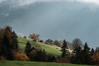 A house is situated on a lush green hillside surrounded by trees with autumn foliage. Misty mountains rise in the background, creating a serene and tranquil atmosphere. The landscape features a mix of evergreen and deciduous trees, and the grass appears vibrant and well-maintained.