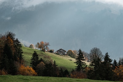 A house is situated on a lush green hillside surrounded by trees with autumn foliage. Misty mountains rise in the background, creating a serene and tranquil atmosphere. The landscape features a mix of evergreen and deciduous trees, and the grass appears vibrant and well-maintained.