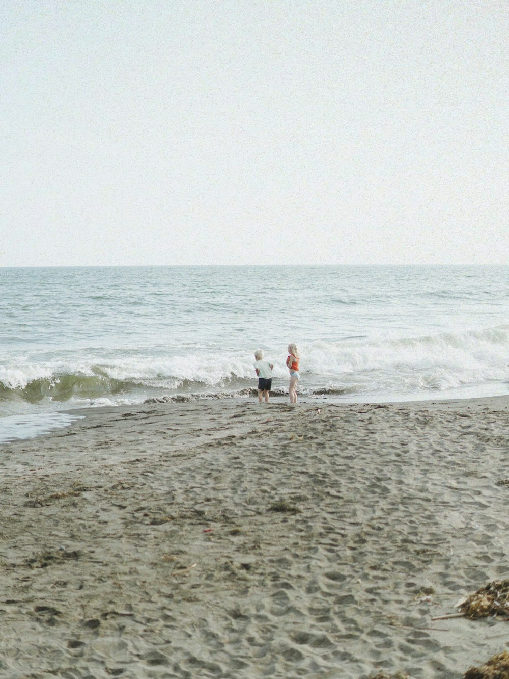 two people and a dog walking on a beach