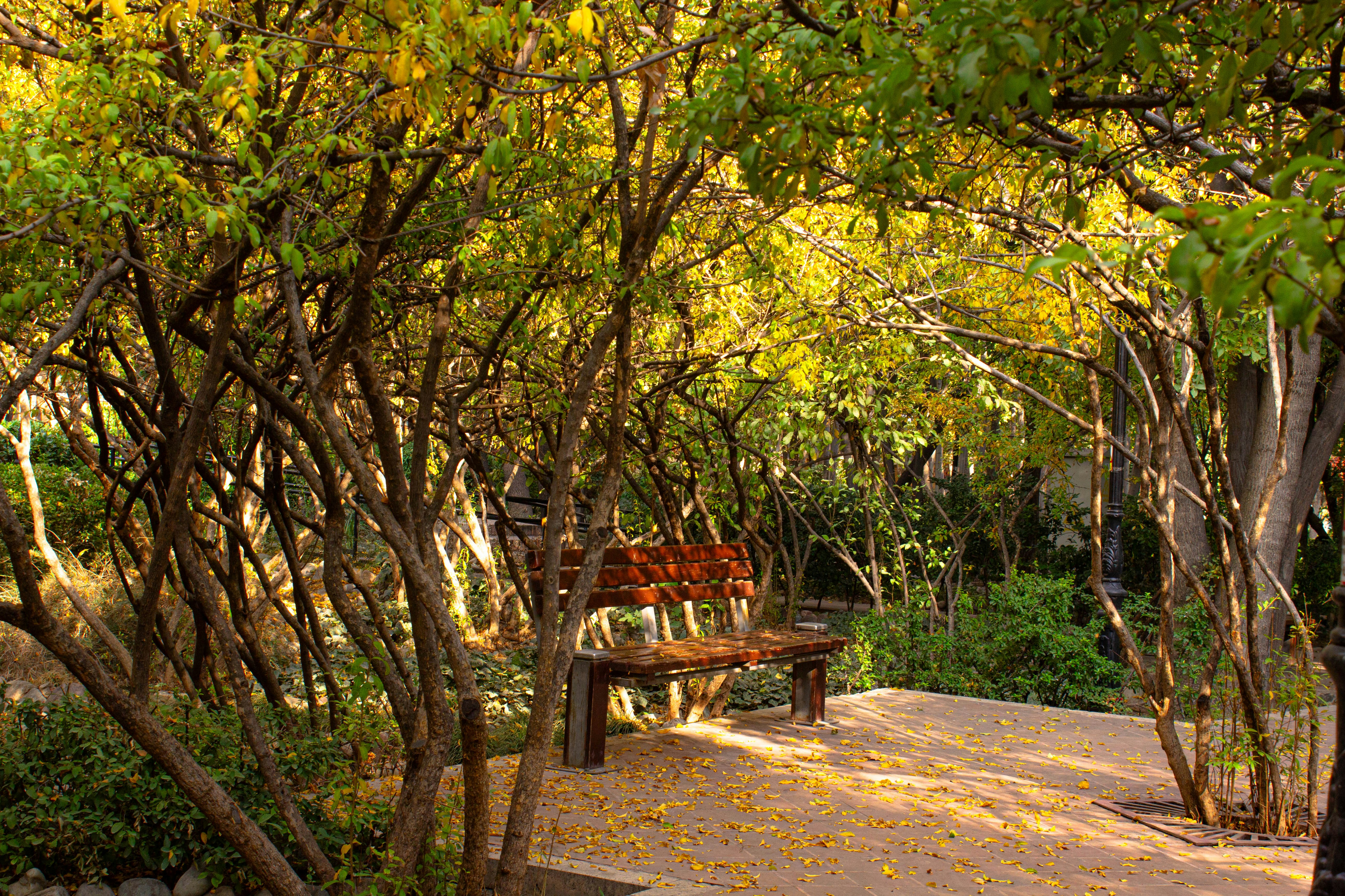 Photo by elham_frame