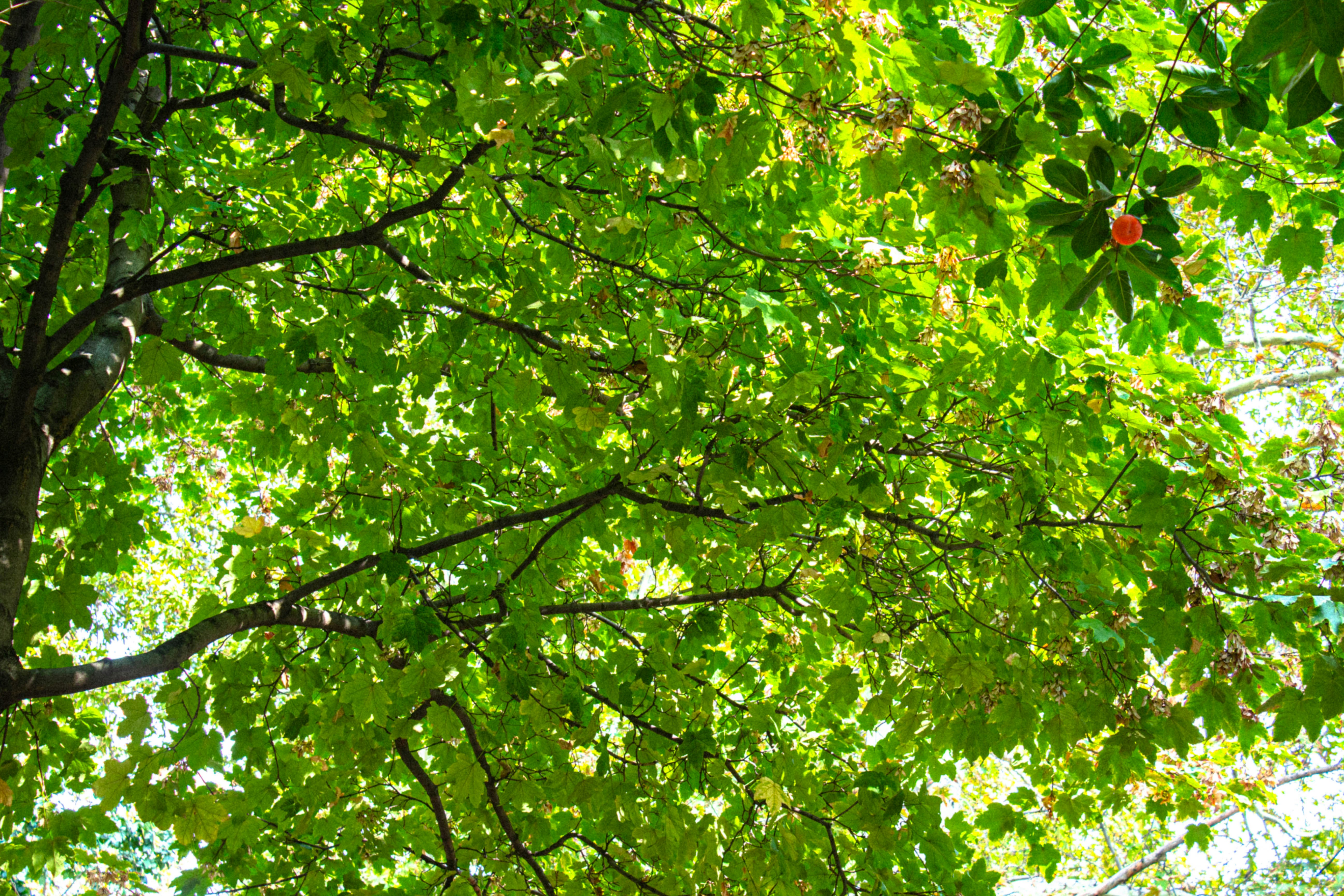 Photo by elham_frame