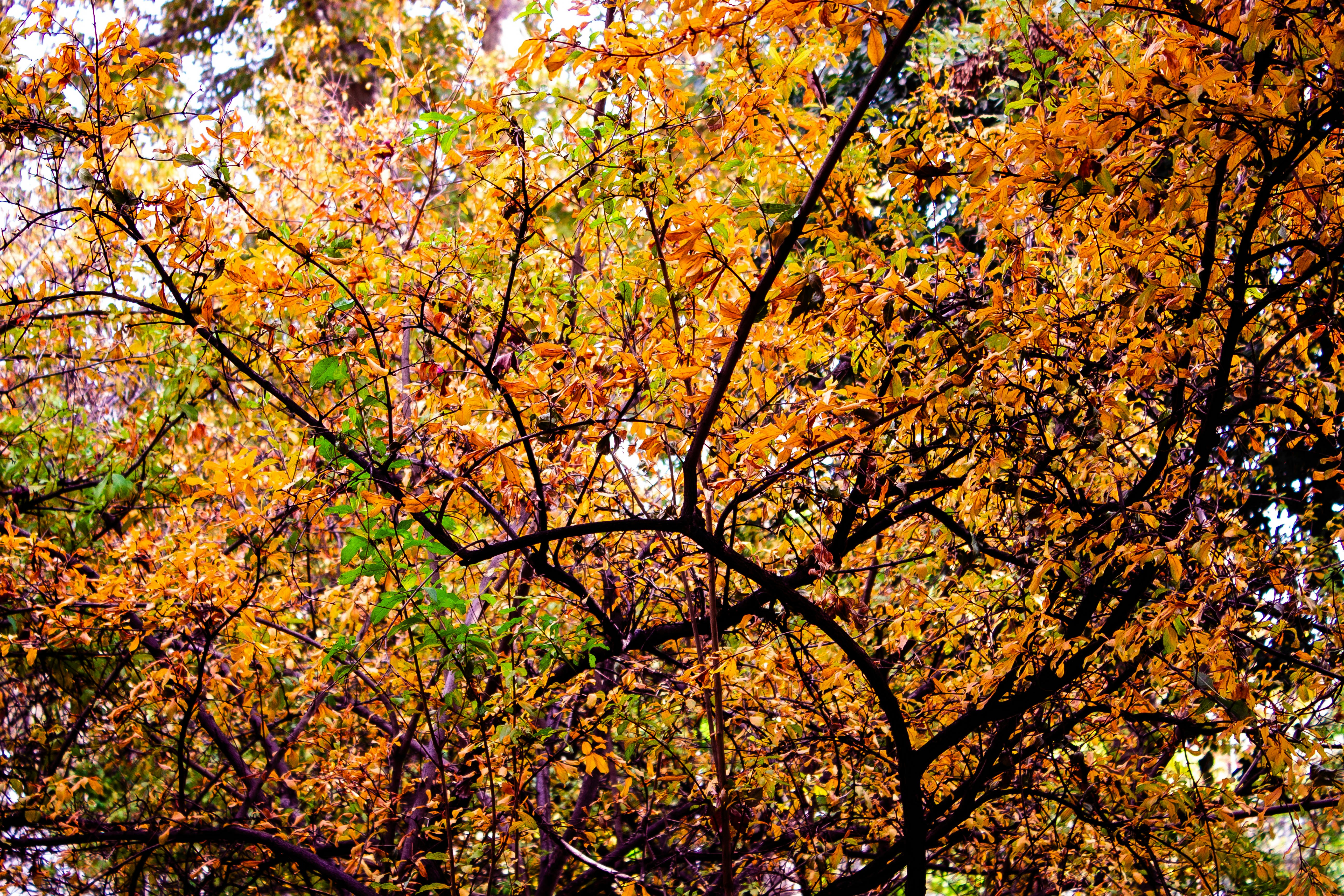 Photo by elham_frame