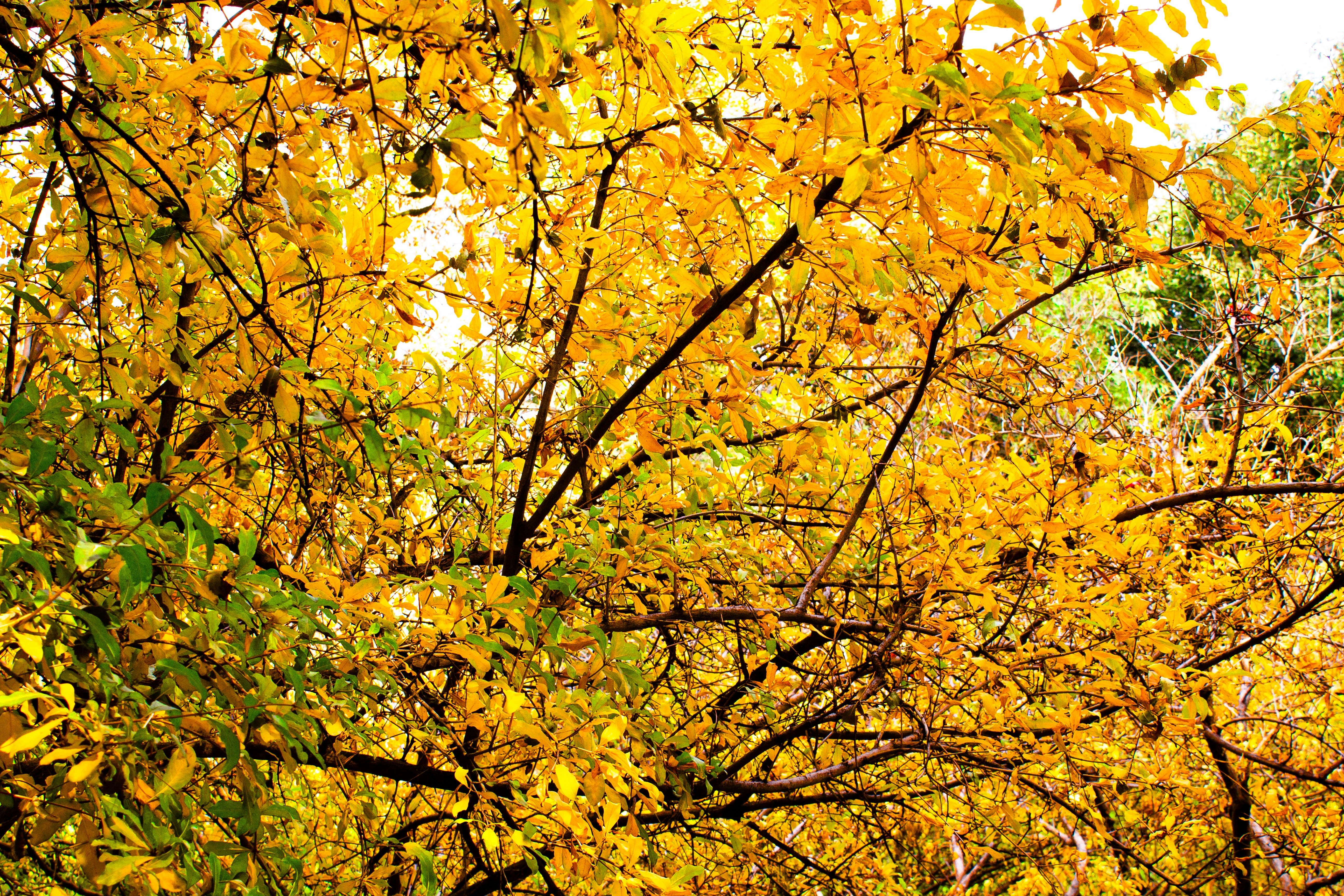 Image by Elham Abdi via Unsplash