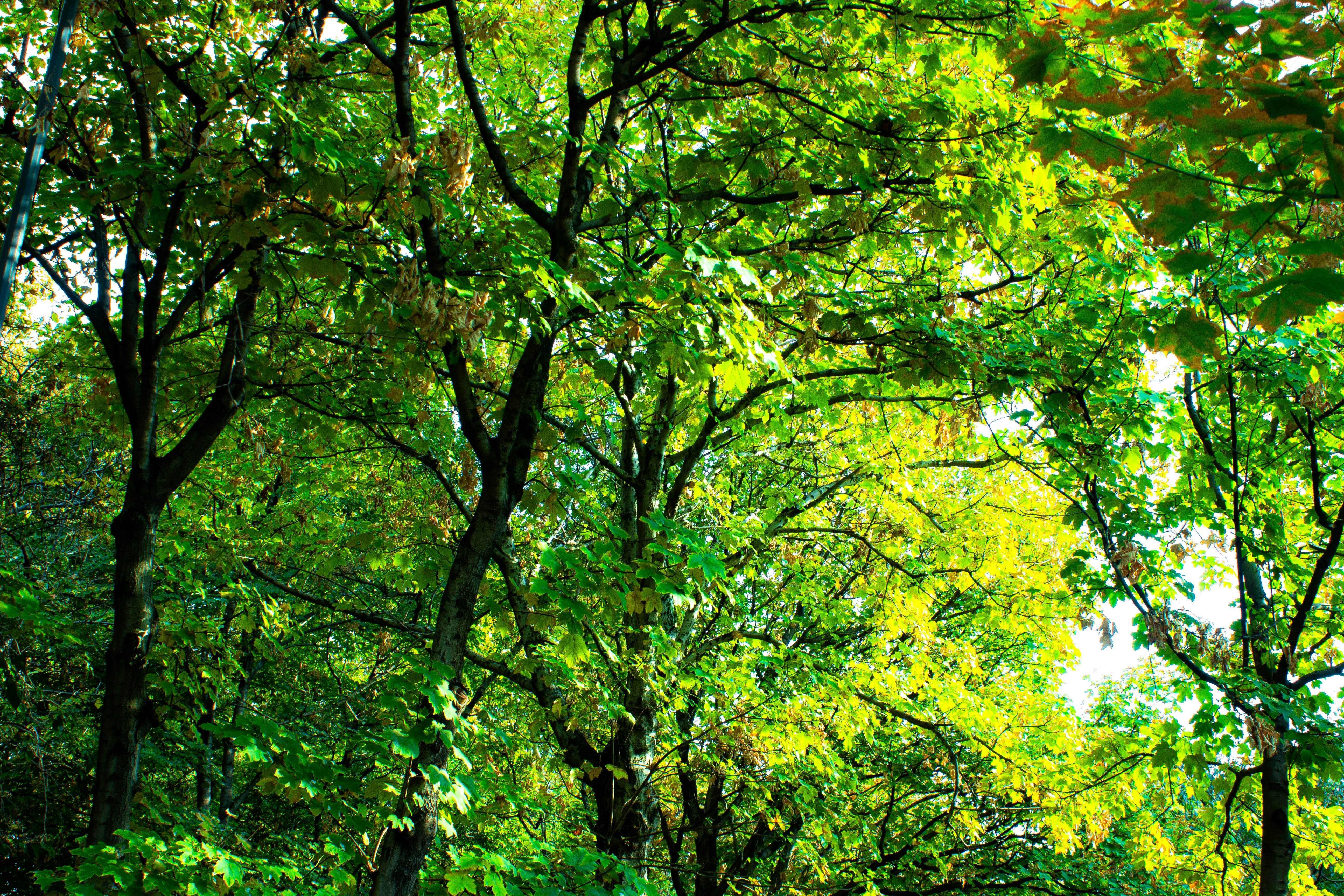 Photo by elham_frame