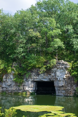 A serene natural scene featuring a cave-like opening in a rocky cliffside, surrounded by dense green foliage. Below the cliff, calm water reflects the greenery, with patches of algae floating on the surface.