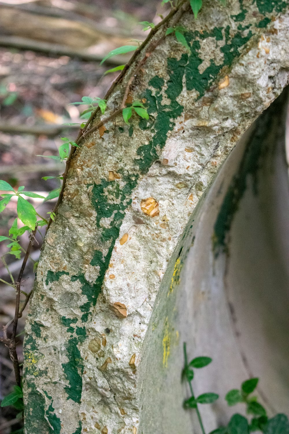 a close up of a tire on the ground