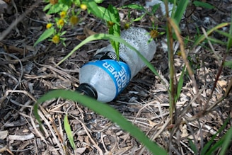 An empty plastic bottle lies discarded on the ground amidst dry leaves and green plants. The sunlight filters through, highlighting the vibrant leaves and small yellow flowers nearby.