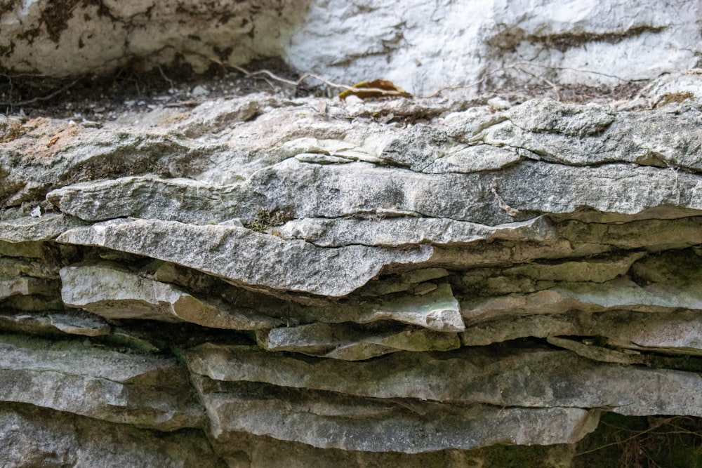 a close up of a rock formation with a bird on top of it