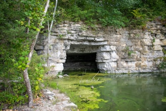 A rocky cave opening is situated in a natural setting with lush greenery surrounding it. The cave is made of layered stone and sits adjacent to a body of water covered with green algae. Tall trees and bushes frame the scene, giving a sense of seclusion and tranquility.