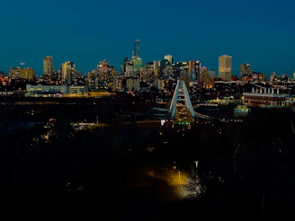 High-quality poster print of a city skyline at night with bright lights and crisp edges.