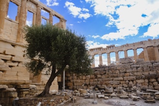 Ancient ruins with large marble columns stand against a bright blue sky with scattered clouds. A solitary olive tree grows amidst the rocky and uneven terrain, providing a touch of nature to the historic setting. Broken stones and ruins cover the ground, giving a sense of archaeological heritage.