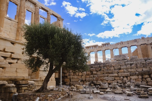Ancient ruins with large marble columns stand against a bright blue sky with scattered clouds. A solitary olive tree grows amidst the rocky and uneven terrain, providing a touch of nature to the historic setting. Broken stones and ruins cover the ground, giving a sense of archaeological heritage.