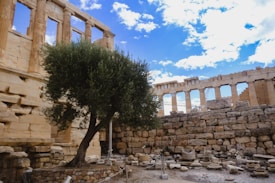 Ancient ruins with large marble columns stand against a bright blue sky with scattered clouds. A solitary olive tree grows amidst the rocky and uneven terrain, providing a touch of nature to the historic setting. Broken stones and ruins cover the ground, giving a sense of archaeological heritage.