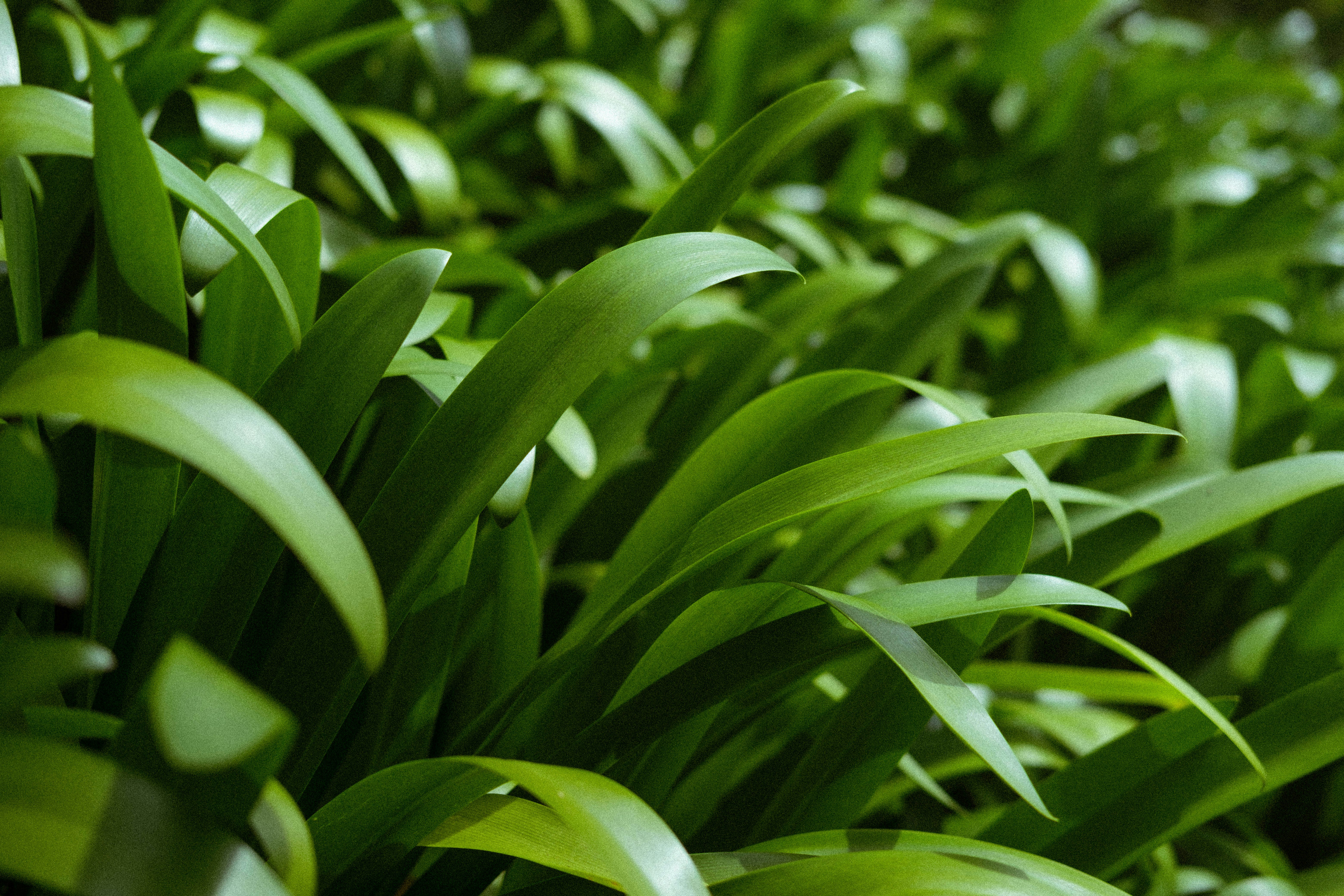 Photo by julien_daga