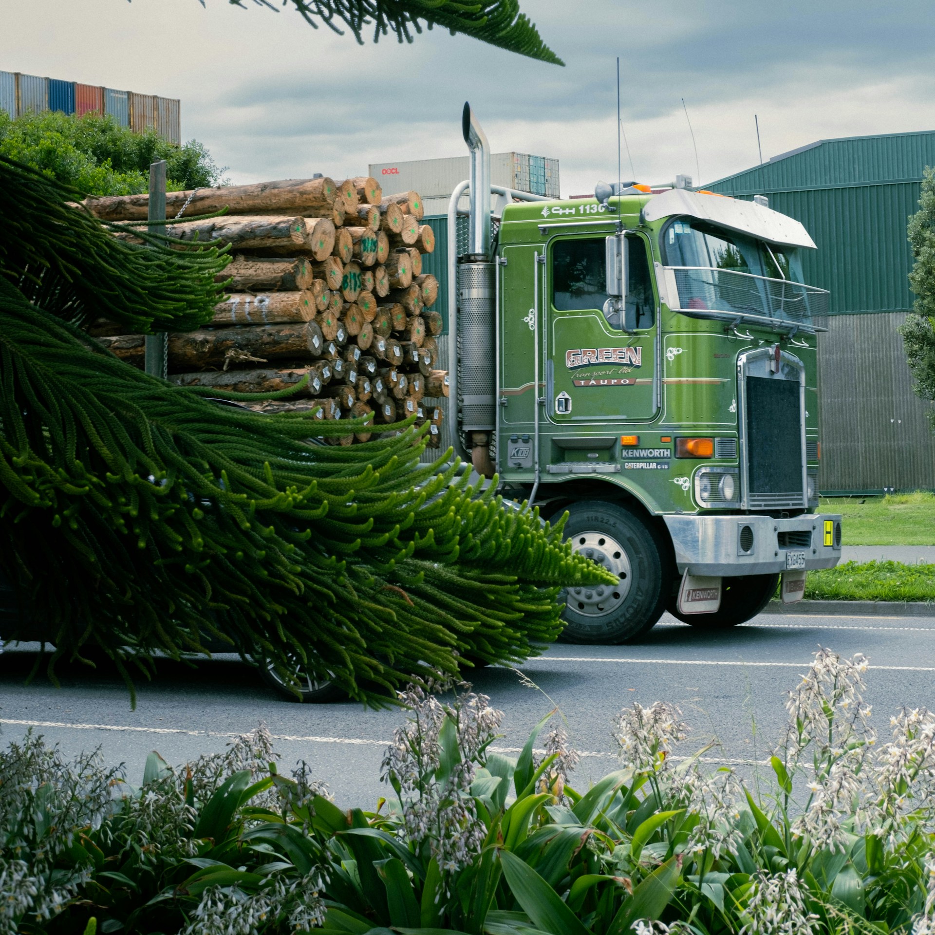 a green truck driving past a pile of logs
