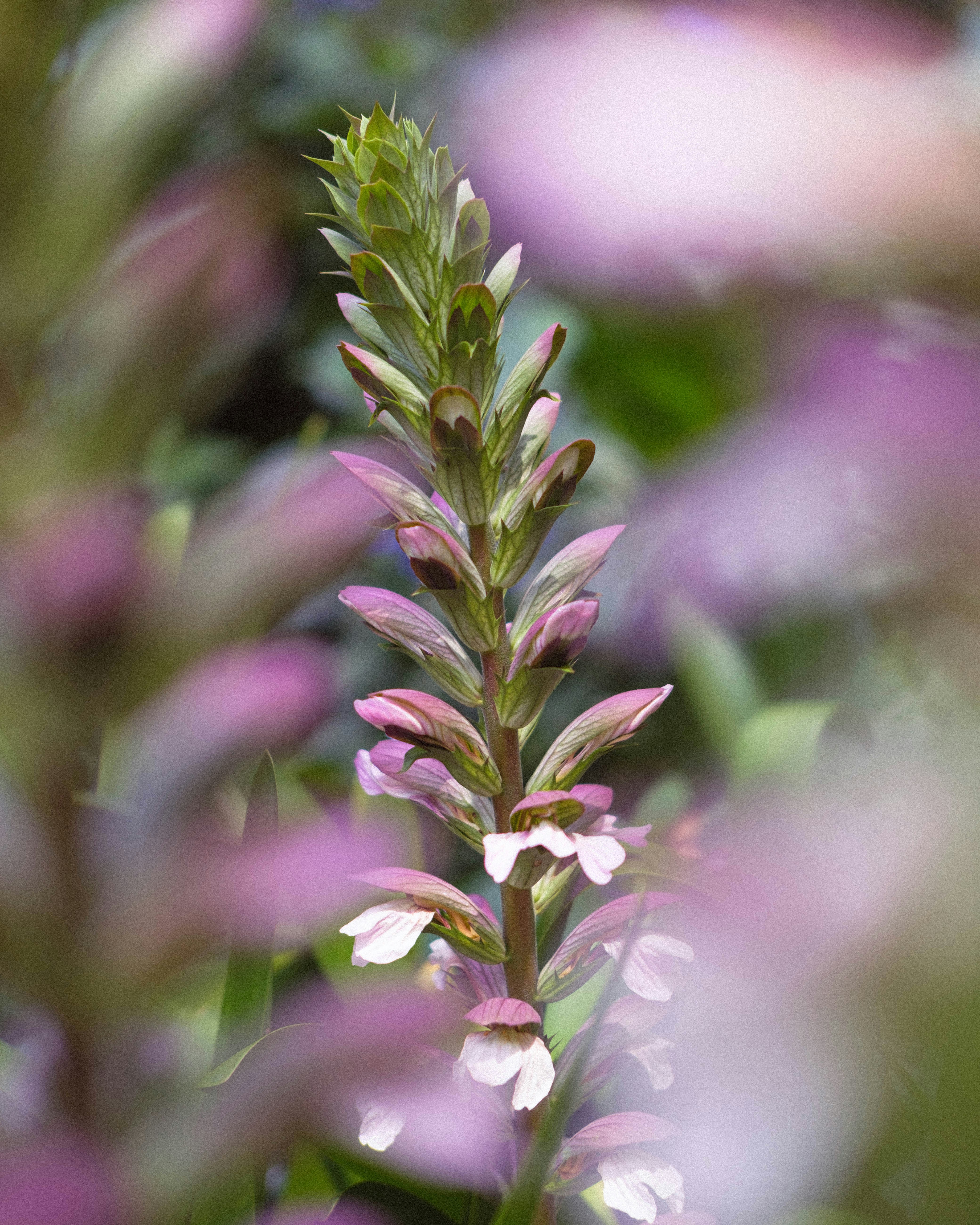 Photo by julien_daga