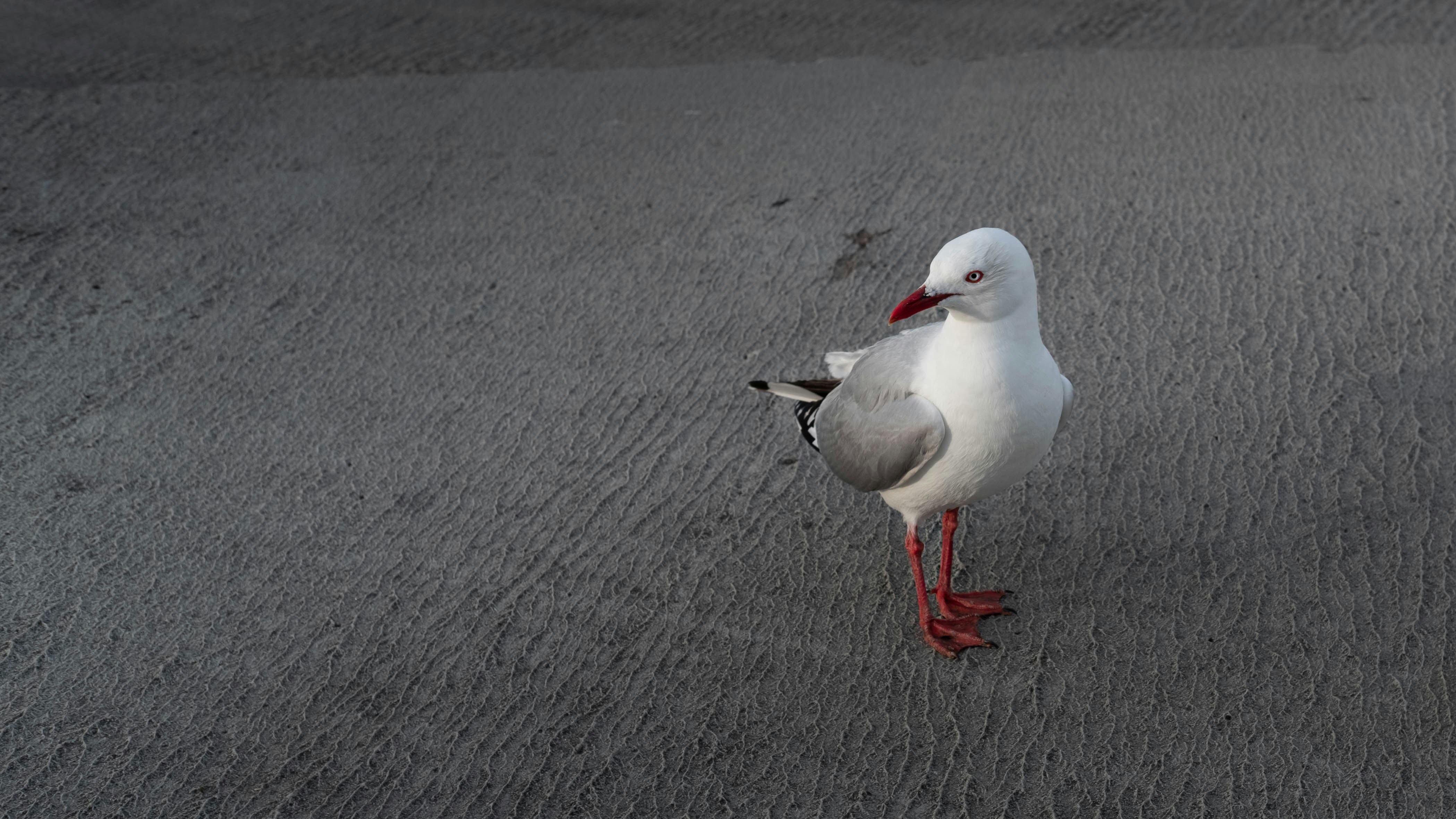 Photo by julien_daga