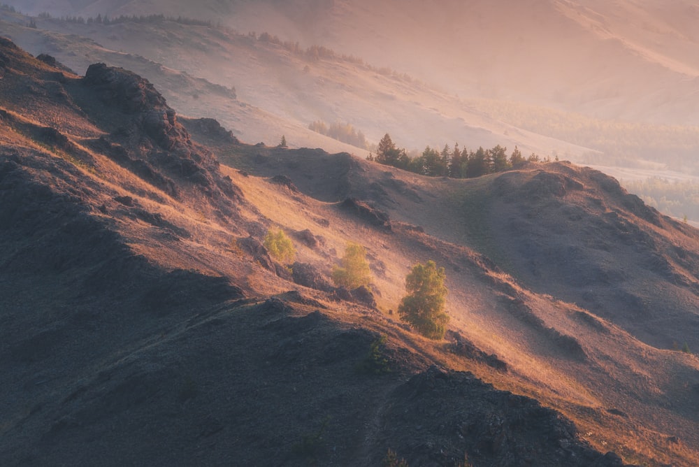 une colline surmontée de quelques arbres