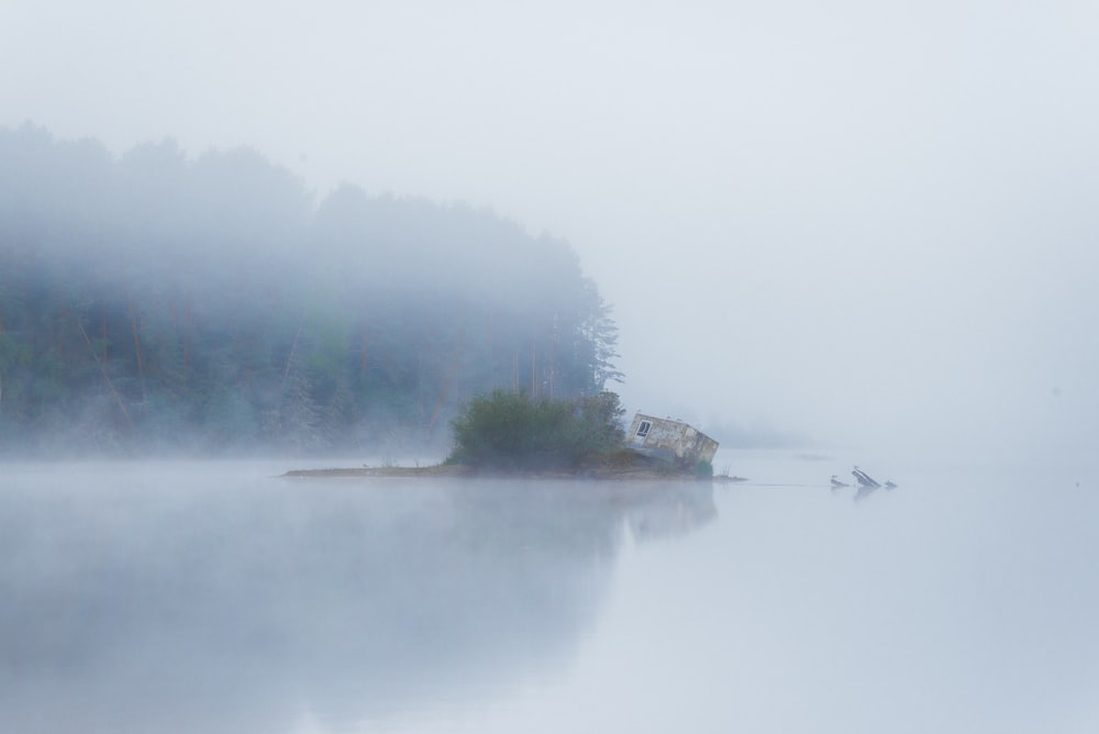 a foggy lake with a small island in the middle