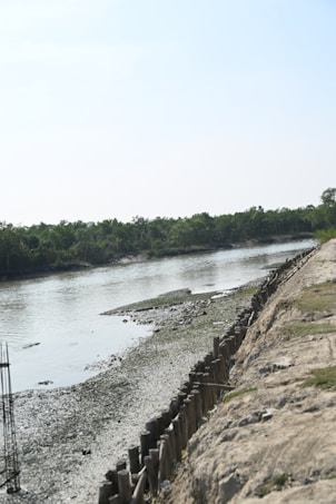 A serene riverside with a calm water body flowing alongside a sandy and rocky bank. Wooden posts are embedded into the bank, possibly serving as a barrier or reinforcement. Dense greenery lines the opposite bank under a clear blue sky.
