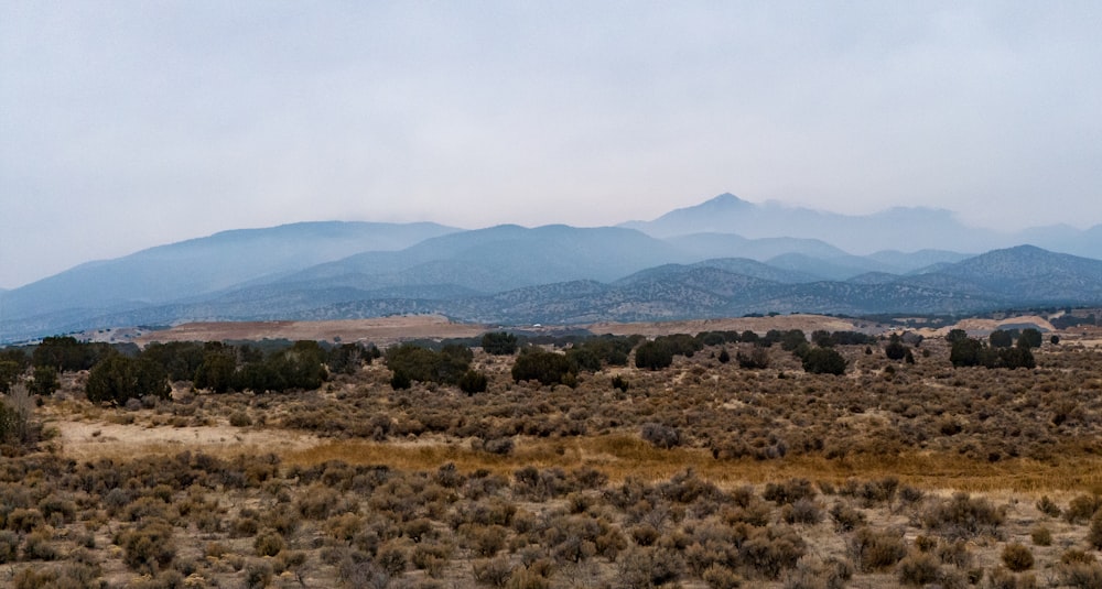 a field with mountains in the background