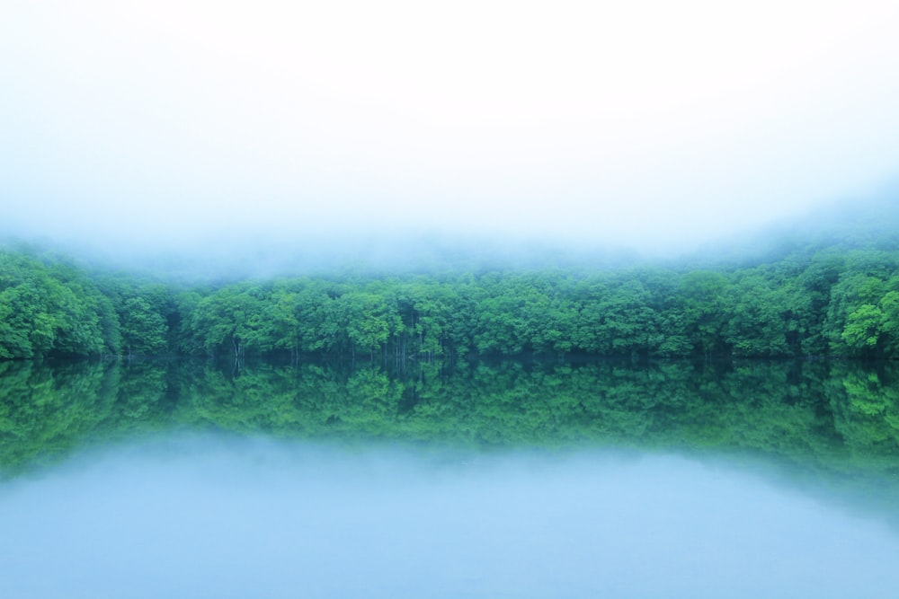 a large body of water surrounded by trees