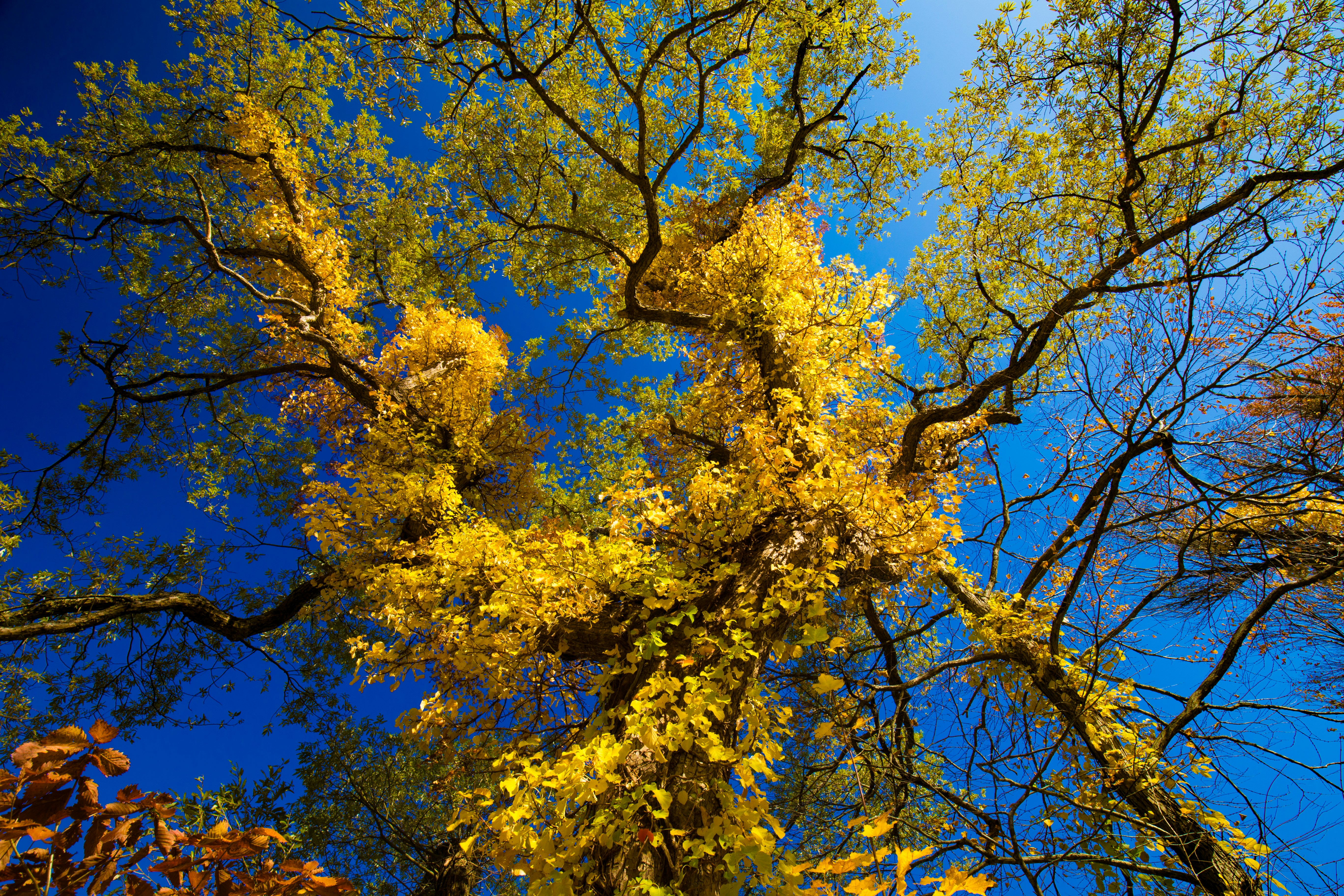 Photo by juntarou555