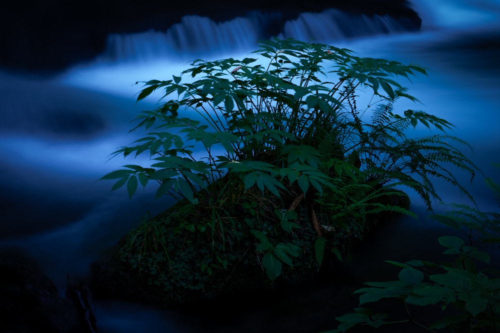 a stream with a waterfall in the background