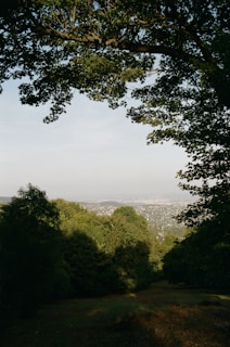 A scenic view of a lush green landscape in Sukasari.