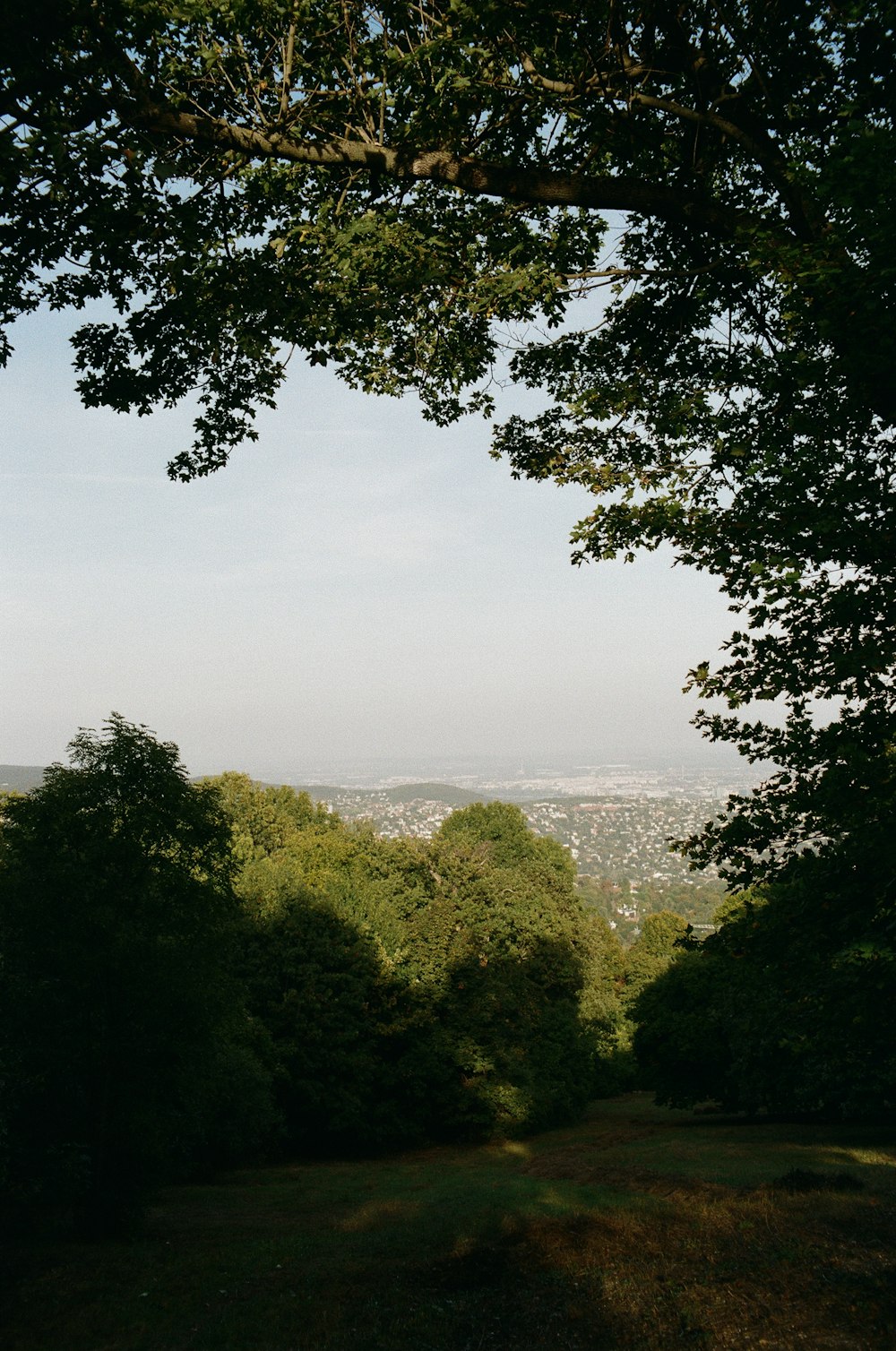 a view of a city through some trees