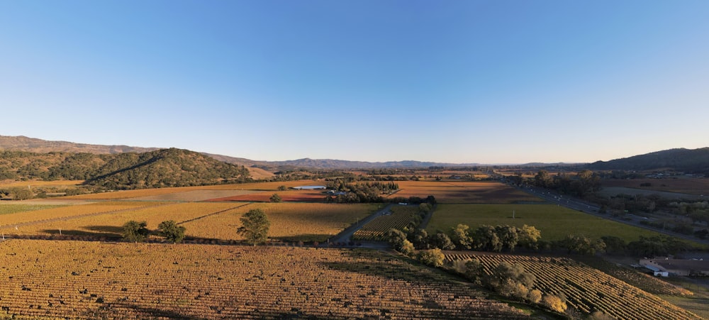 an aerial view of a farm land with mountains in the background