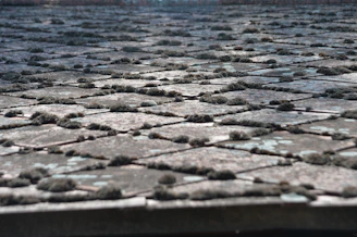 Before and after images of a tiled roof cleaned and demossed.