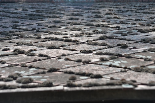A team member carefully cleaning moss and debris off an old tiled roof.