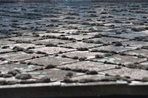 A tiled roof covered in moss and dirt before cleaning.