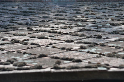 Before and after photo of a roof covered in moss and dirt, then cleaned to reveal bright tiles.