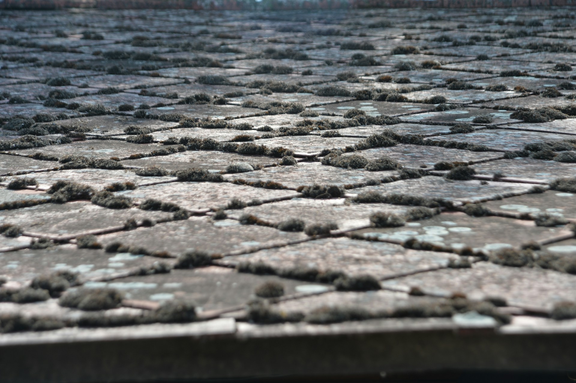 woman wearing yellow long-sleeved dress under white clouds and blue sky during daytime
