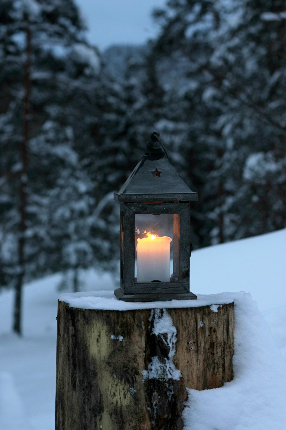 a lit candle sitting on top of a tree stump