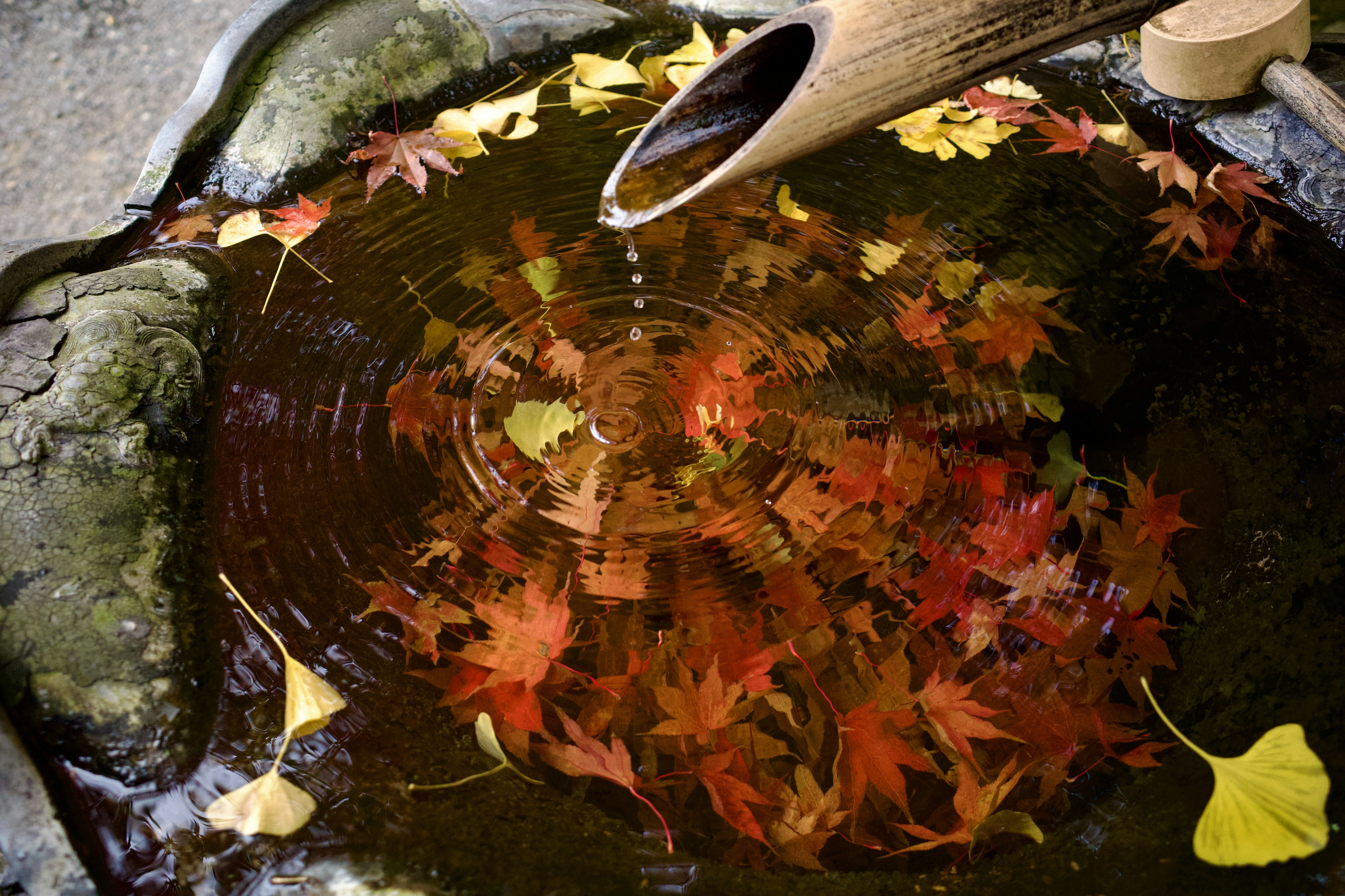 鹿島 アントラーズ 新 ユニフォーム 
