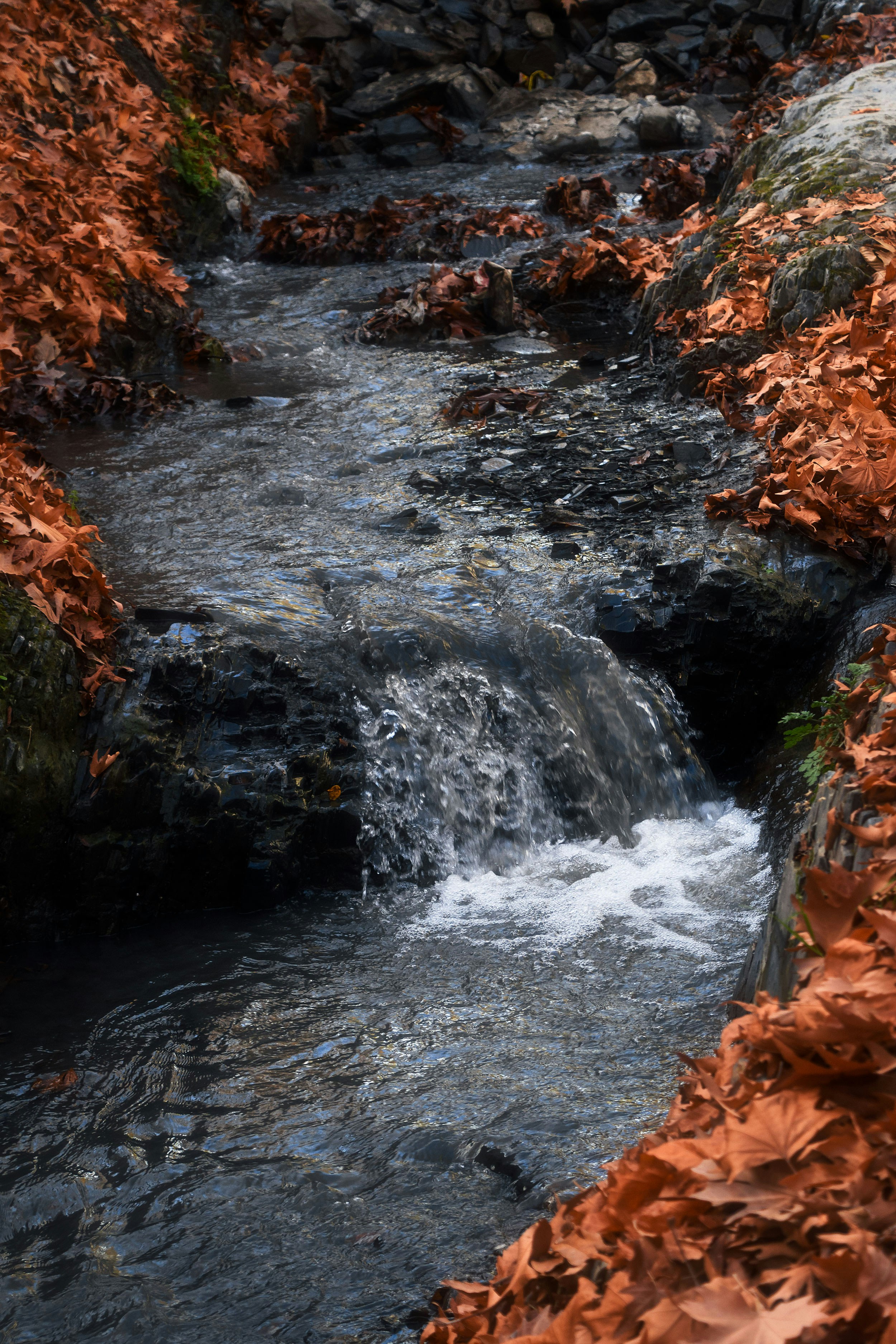 Photo by s_ahmadreza_p