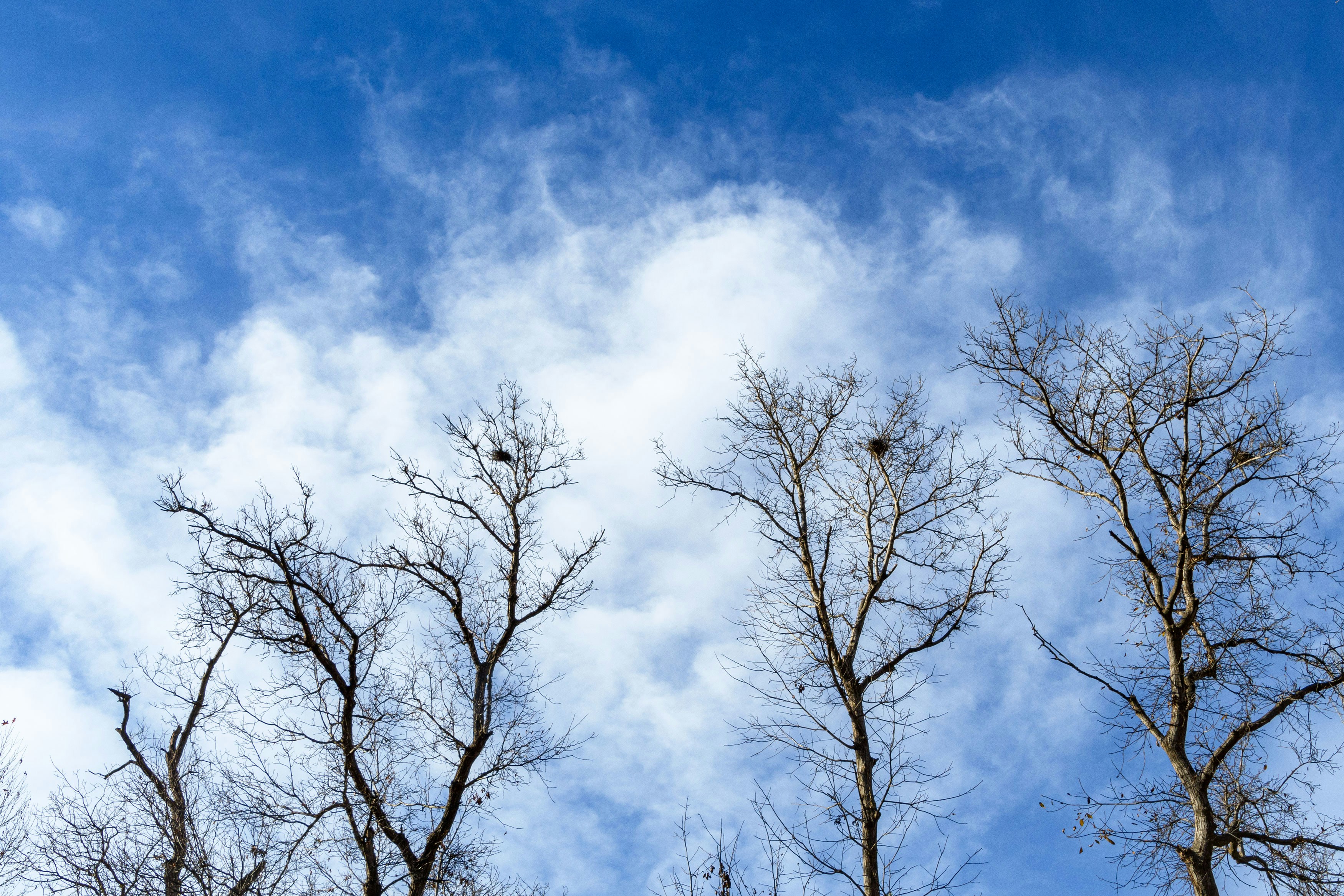 Photo by s_ahmadreza_p