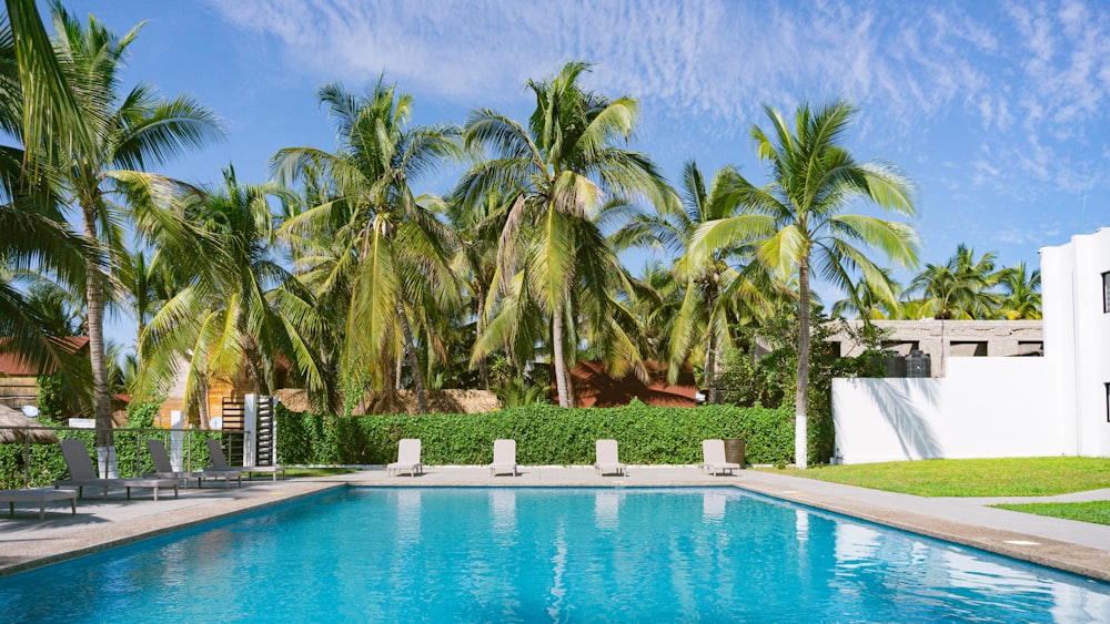 a swimming pool surrounded by palm trees and lawn chairs