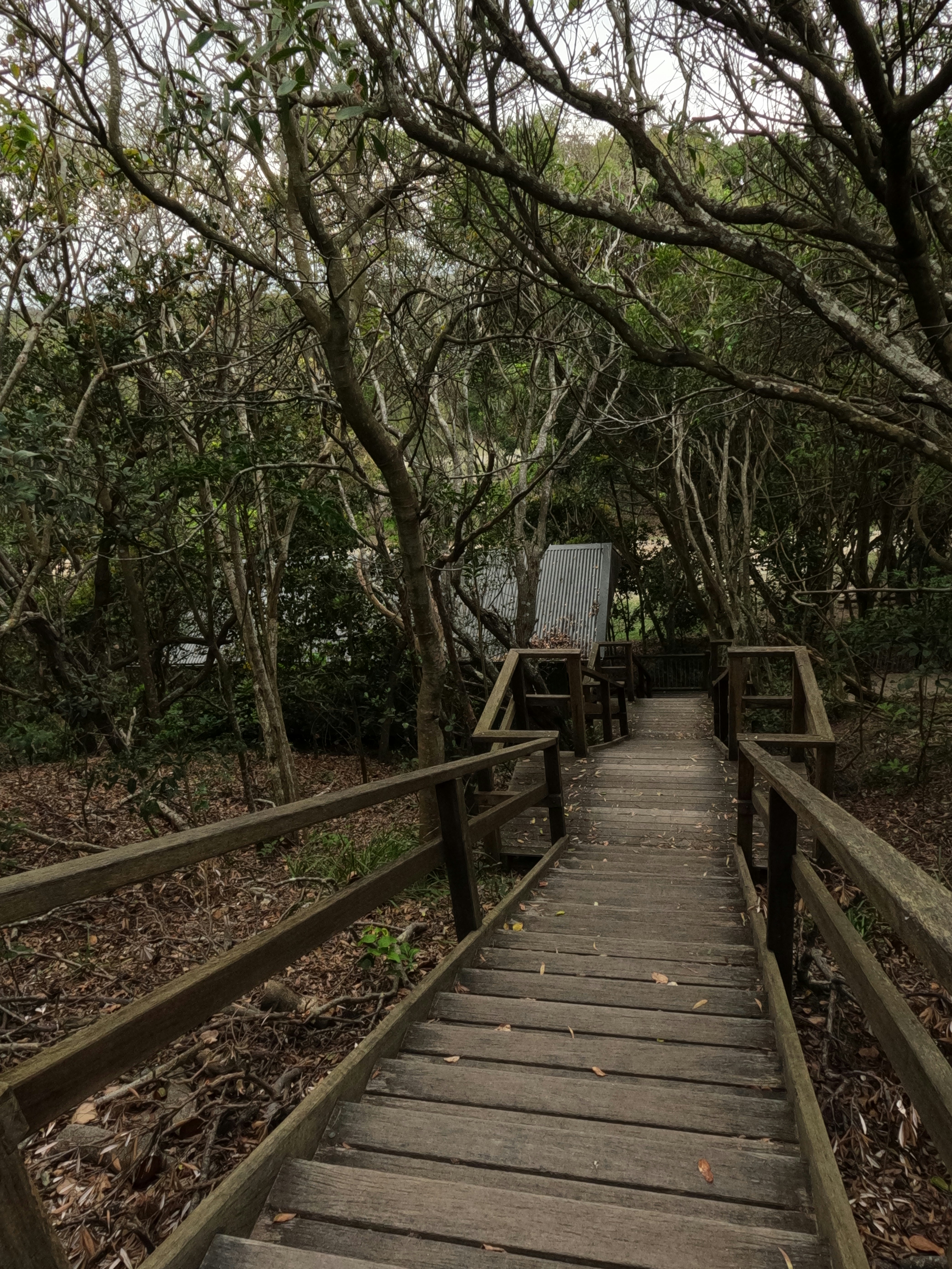 Photo by unsealmyname