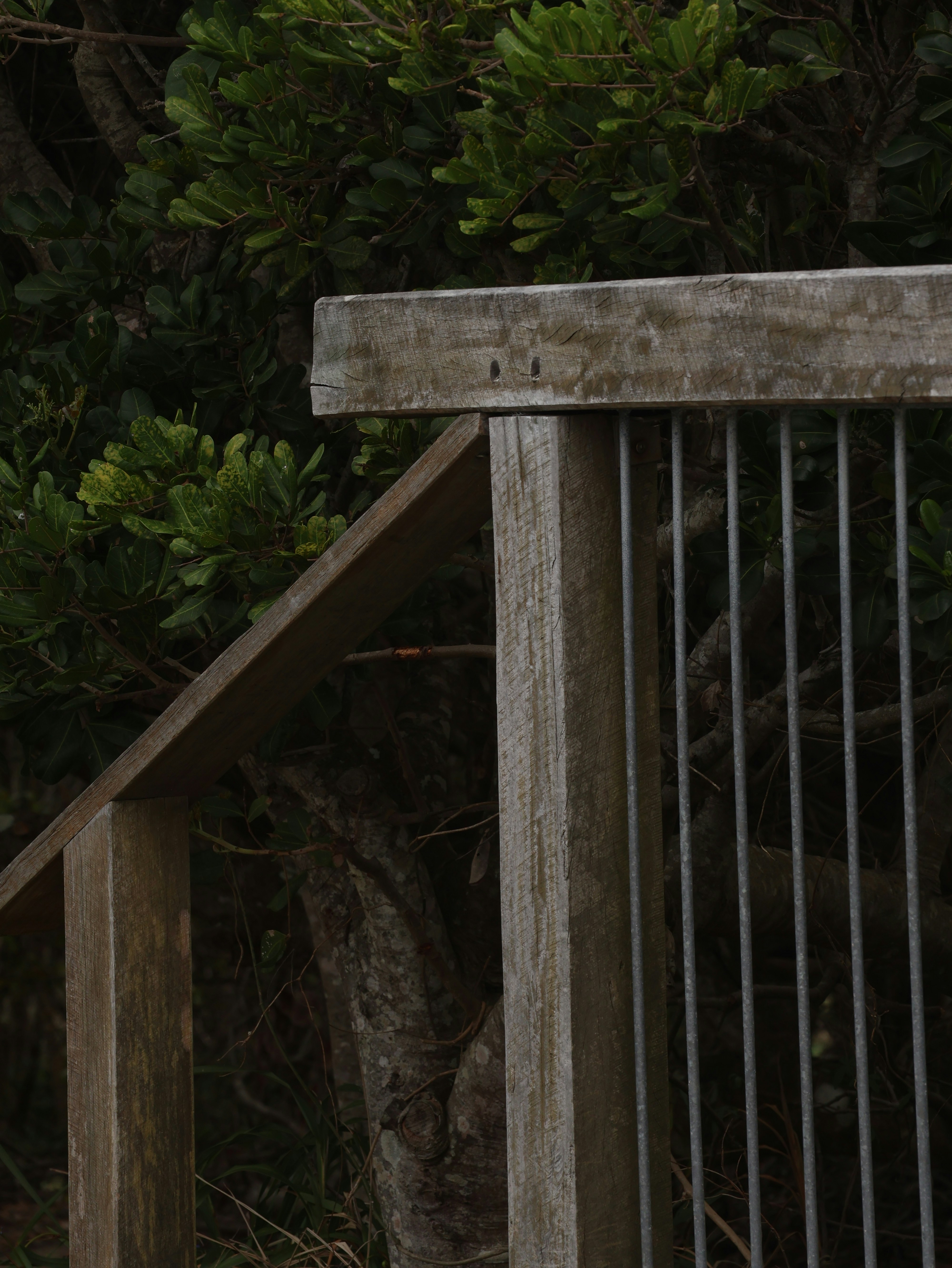 Photo by unsealmyname